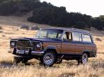 Jeep Wagoneer Limited 1982 года
